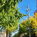 피크문모텔 이미지