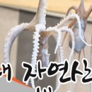 씽씽한우 이미지