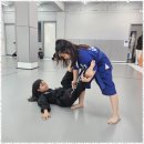 용인대 화랑 합기도 이미지