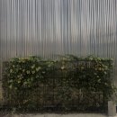 (주)오월에숲 이미지