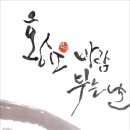캘리송 이미지