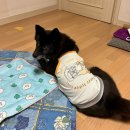 별빛쉼표 이미지