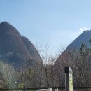 마이산 카페 토박이 이미지