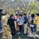 안담농장 이미지