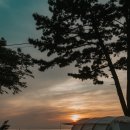 충남 태안 노을숲캠핑장 B4 해변 데크 후기｜바닷가 오션뷰, 해루질, 애견동반