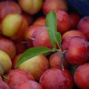 우인농장 이미지