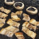 마로스테이 | 포항 애견동반 풀빌라 스테이티키타카 내돈내산 솔직리뷰