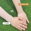 화이트 시즌 | 골프 쿨토시 라운딩 필수템 베일리화이트 시즌2 직접 써본 후기