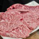 뿔뚝식육식당