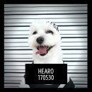 수정유치원 이미지