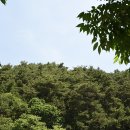 다리목민박 이미지