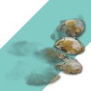 주식회사 팜2팜 이미지