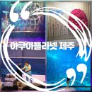 도림사 관광지(야외무대 ) | 제주 실내 관광지 아쿠아플라넷 제주 공연 이용정보 총정리