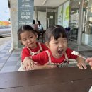 해드림 펜션 | 부처님오신 날 연휴 남해 2박 3일