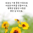 2월9일 금요일 출석글(비교하지마세요) 이미지