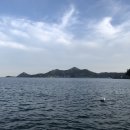 오늘의거제 이미지