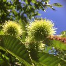 수입천계곡펜션 이미지