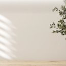 스카이2 이미지