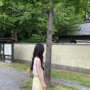 로지플라워 - 진주시 진양호로 321-1 | 로지플라워