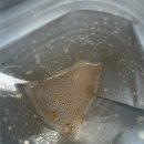 다이트한의원 | 다이트한의원 일산점 후기