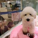 동구종합동물병원 이미지