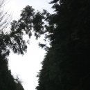 혜림목장 이미지