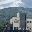 비비&숑숑 반려견펜션 | 경기도 가평 비비숑숑 반려견 펜션 | 비비5 단층 후기 애견동반 수영장 및 강아지 조식