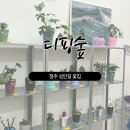 청주 성안길 꽃집 :: 디핑숲 내돈내산 방문후기 힙한 사장님이 있는곳