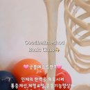 굿볼메소드 이미지