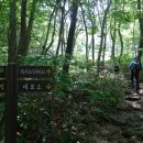 청태산자연휴양림 이미지