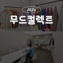 제주도퍼스널컬러 무드컬렉트에서 새 삶찾고 온 후기