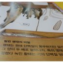 동화로 배우는 COOK COOK 이미지