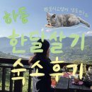 3. 하동 한달살기 숙소, 도시고양이생존연구소, 17박 18일 장기숙박 후기
