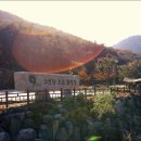 소선암오토캠핑장 이미지