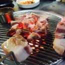 탐라도니 이미지