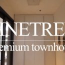 파인트리하우스 이미지