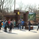 나라꽃 미니정원 이미지