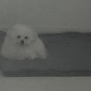 칼슨모텔 이미지