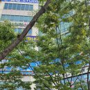 구로-구로-구로-2835 | 서울 e 치과 천왕역 방문 후기