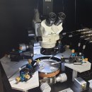 MSTECH 이미지
