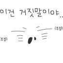 윤참치 이미지