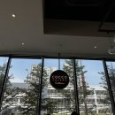 코코애견클럽 이미지