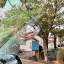 코쿤협재펜션 이미지