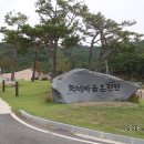 청솔농장 이미지