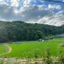 오계춘천닭갈비가흥점 이미지