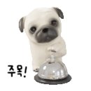 임호준태권도아카데미 태권도장 이미지
