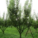 현배농장 이미지