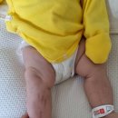 수안체육관 이미지