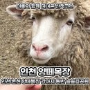 늘솔길근린공원(2호) 공원화장실 | 인천 논현 양떼목장 강아지 동반 늘솔길공원 벚꽃 실시간 개화 현황