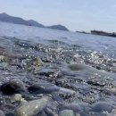 마린피아스파&풀빌라 이미지